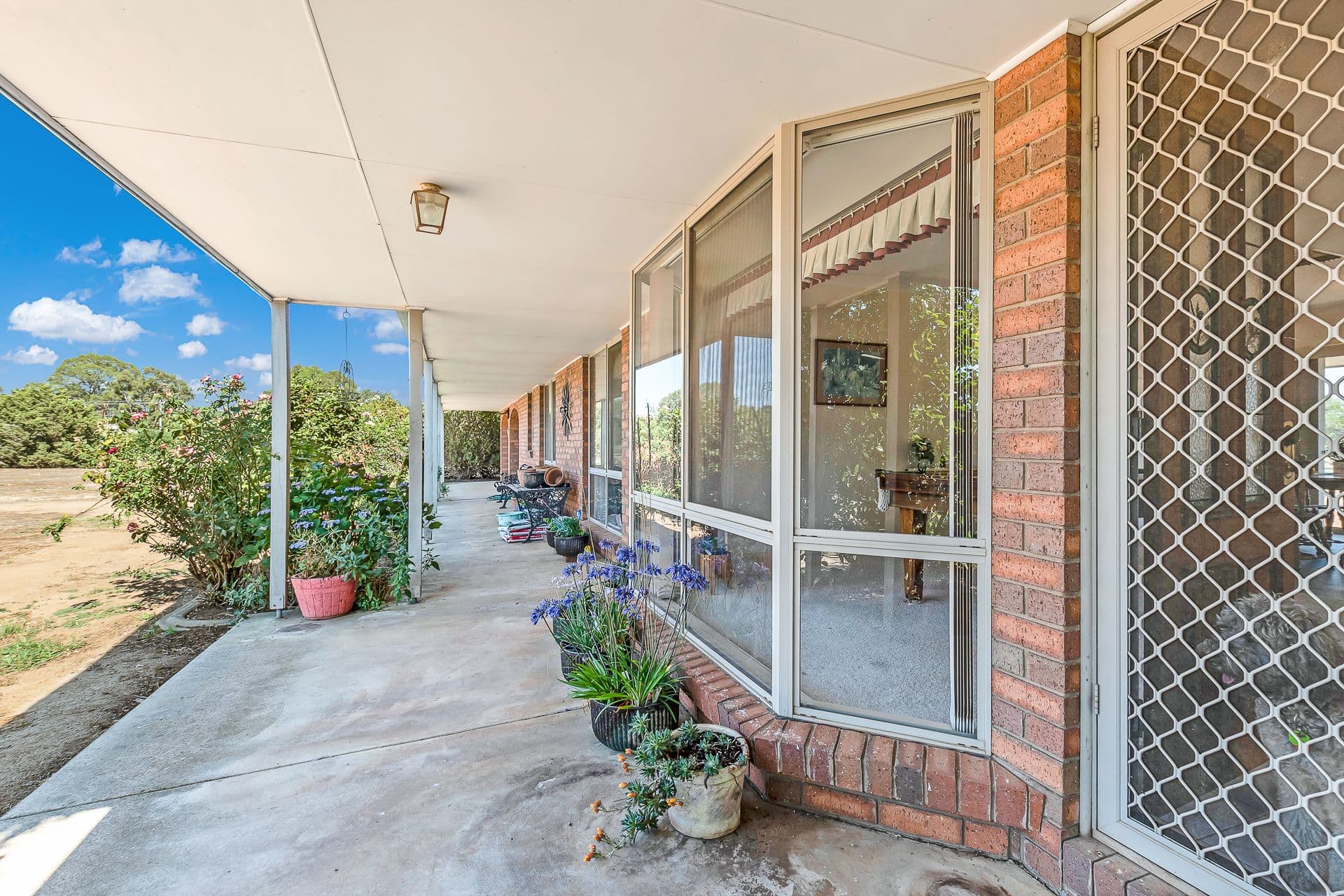 5 Jess Drive, Rochester VIC 3561, Rochester - Thumbnail 6