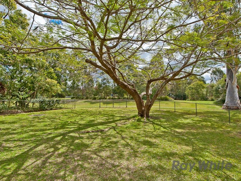 10 Coolalie Street, Alderley QLD 4051, Alderley - Thumbnail 7