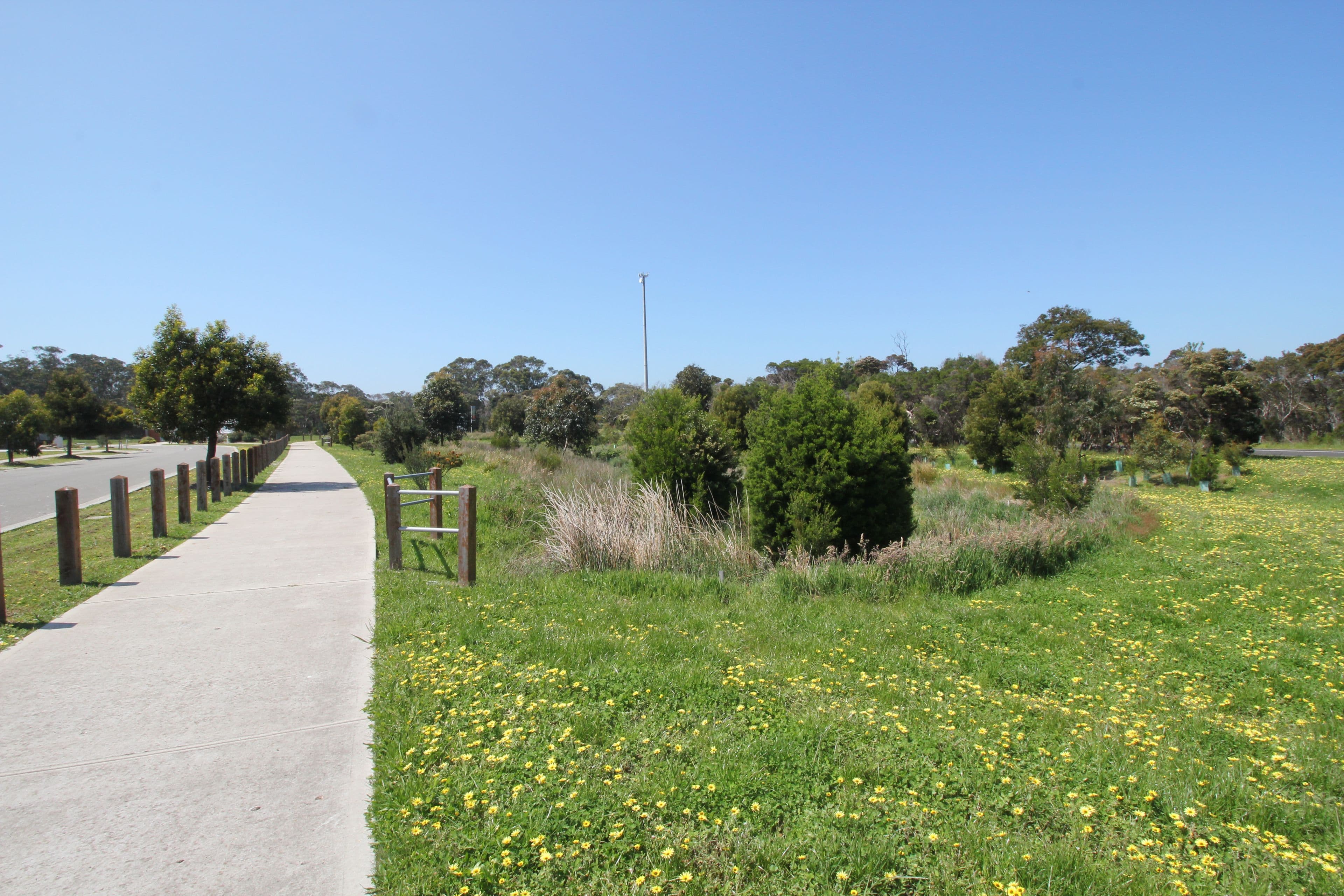 16 Blossom Road, Cowes VIC 3922, Cowes - Thumbnail 2