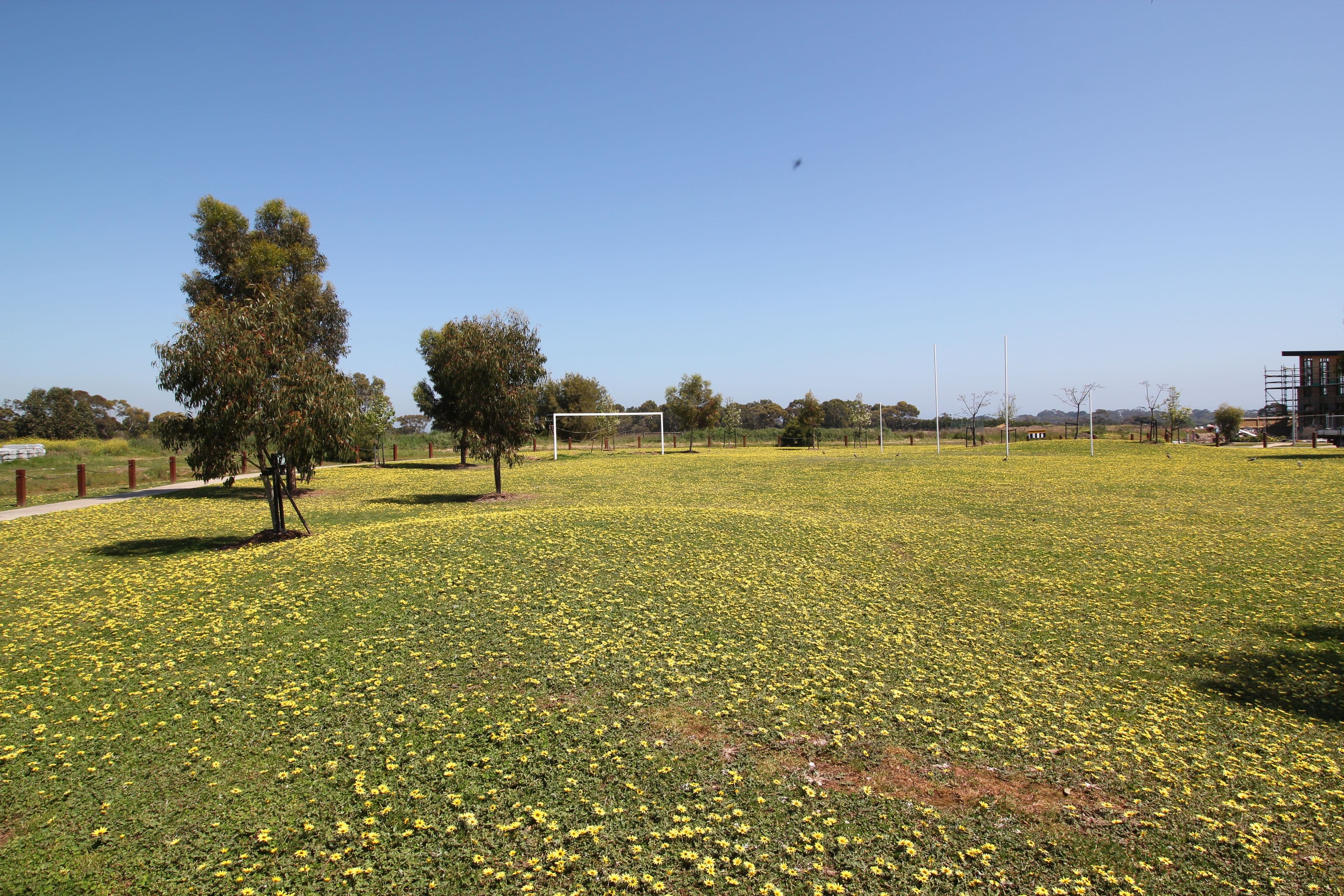 16 Blossom Road, Cowes VIC 3922, Cowes - Thumbnail 3
