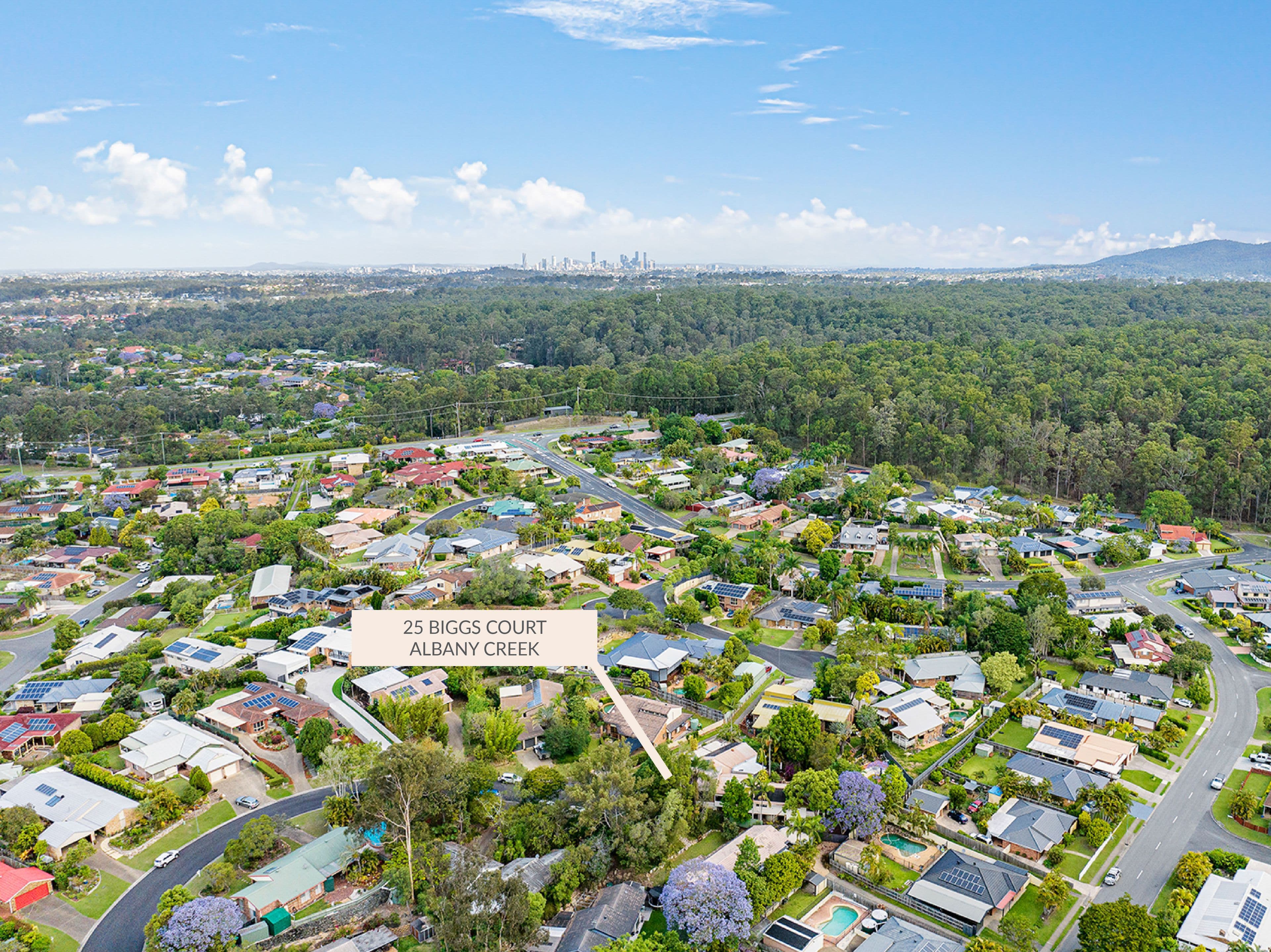 25 Biggs Court, Albany Creek QLD 4035, Albany Creek - Thumbnail 4