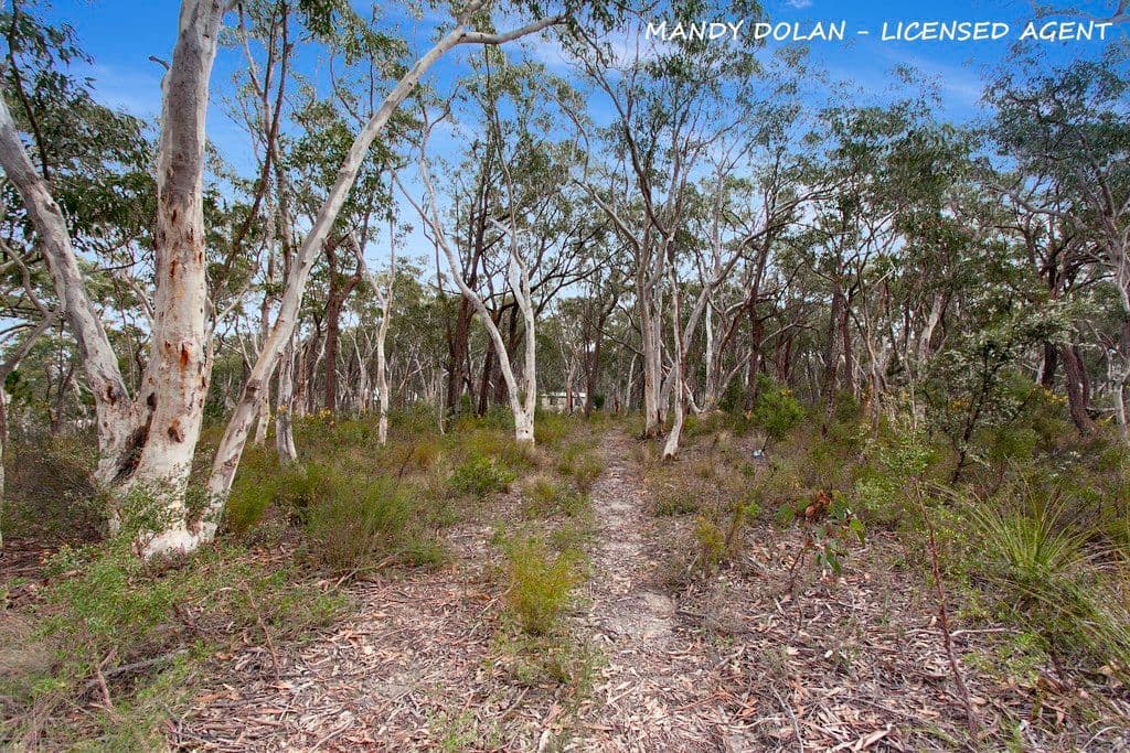 297 Mulwaree Drive, Tallong NSW 2579, Tallong - Thumbnail 2