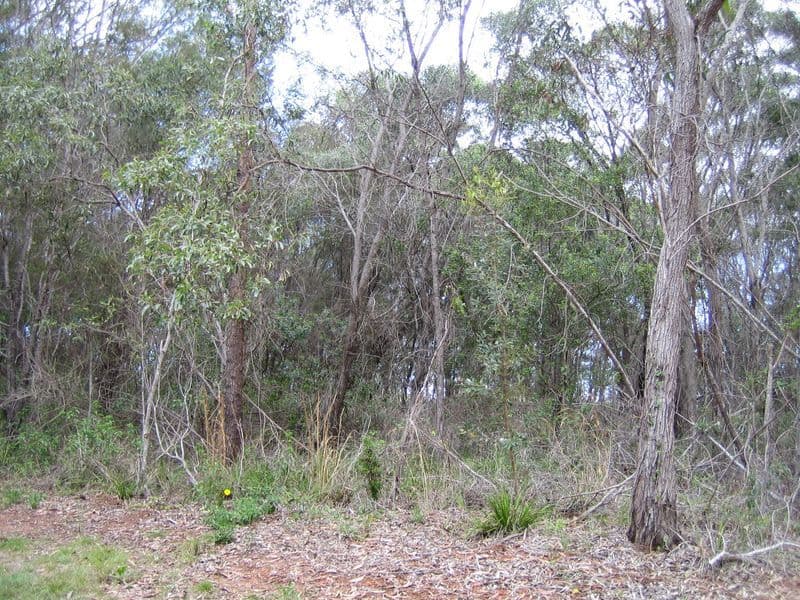 14  Azalia Street, RUSSELL ISLAND QLD 4184, Russell Island - Image 1