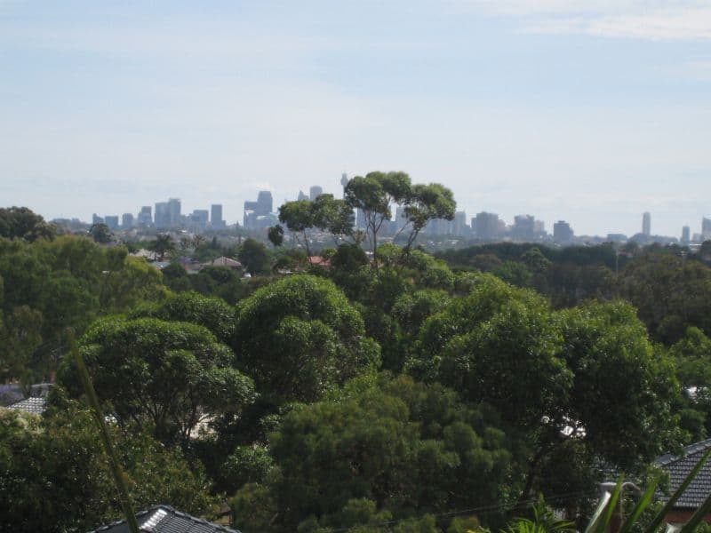 5 Willington Street, TURRELLA NSW 2205, Turrella - Thumbnail 3