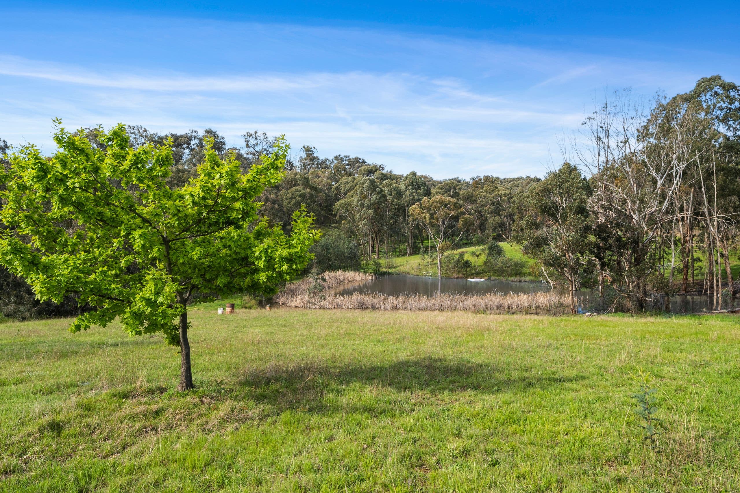 643 Diffey Road, Everton VIC 3678, Everton - Thumbnail 5