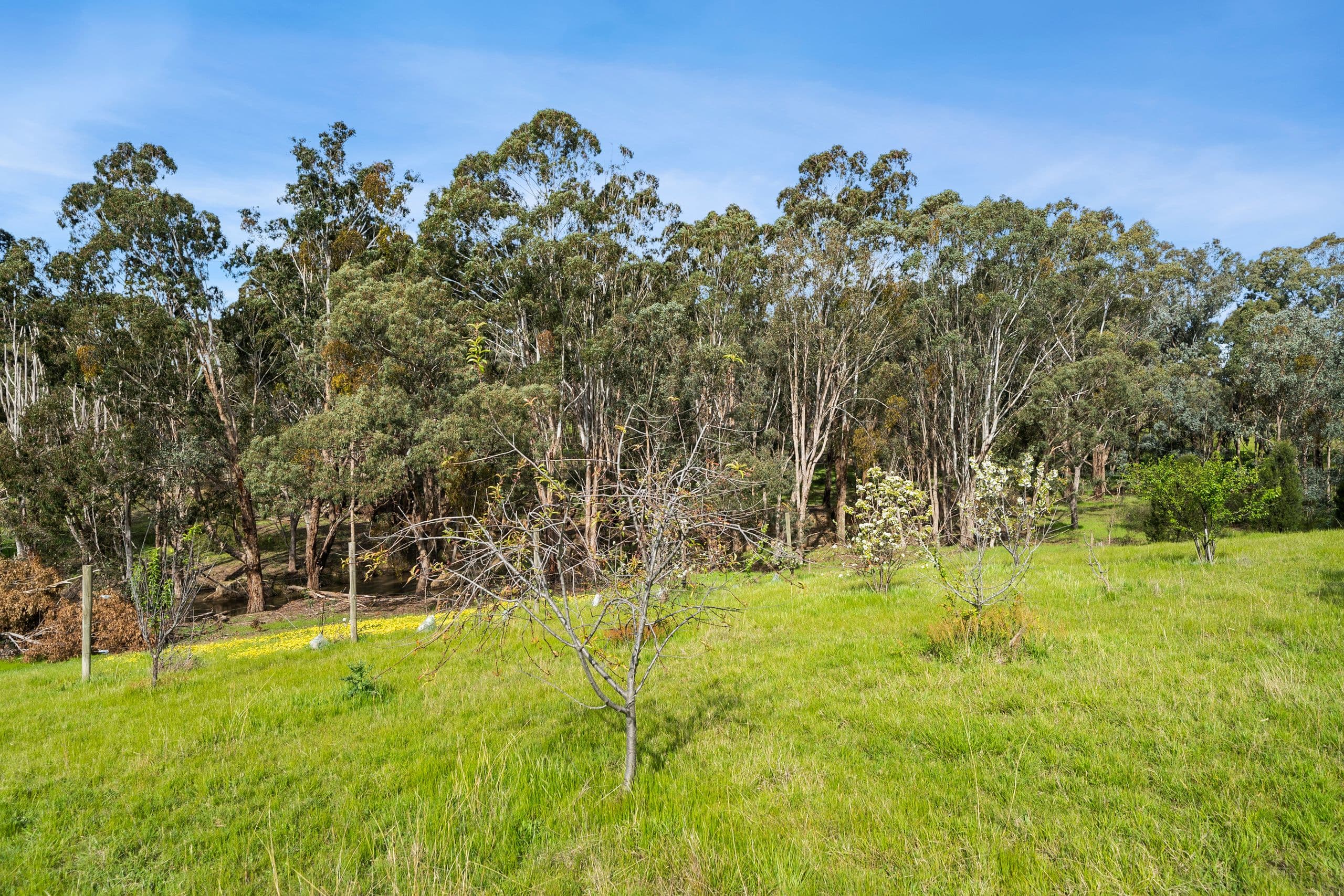 643 Diffey Road, Everton VIC 3678, Everton - Thumbnail 6