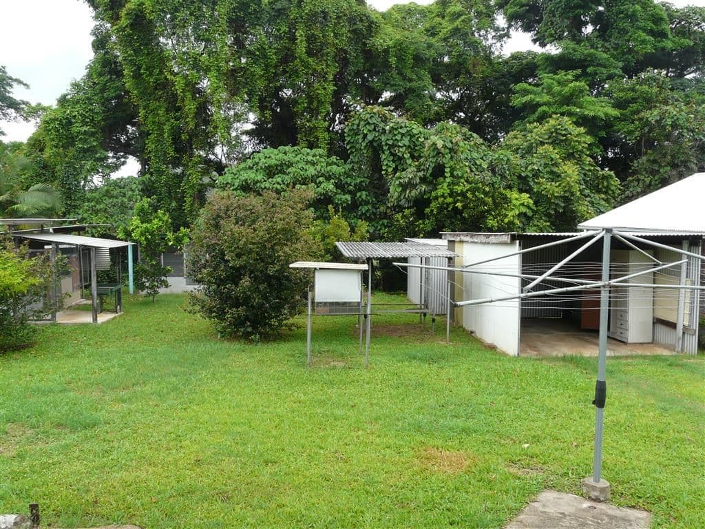 3 Radlof Street, SOUTH JOHNSTONE QLD 4859, South Johnstone - Thumbnail 3