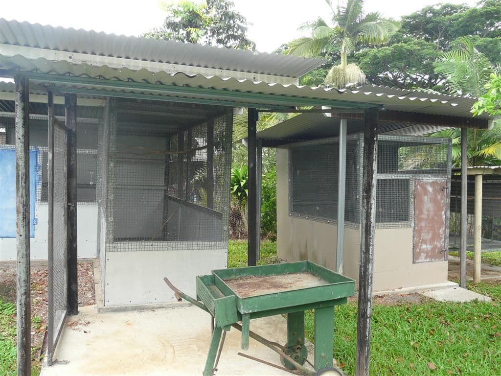 3 Radlof Street, SOUTH JOHNSTONE QLD 4859, South Johnstone - Thumbnail 4