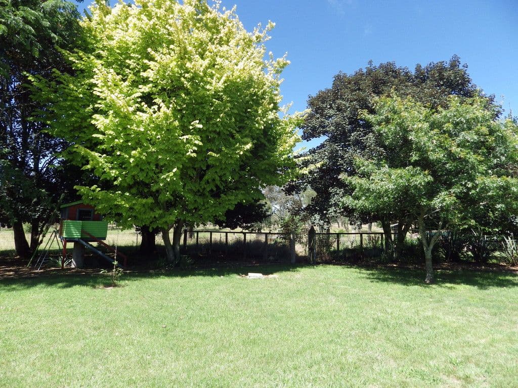 35 Pipeclay Street, Ebor - Thumbnail 8