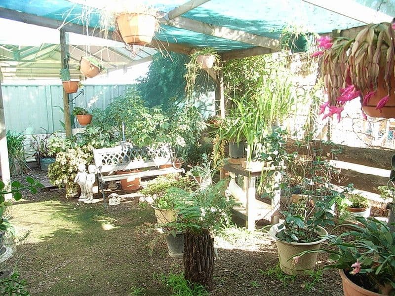 52 McKinlay Street, ECHUCA VIC 3564, Echuca - Thumbnail 6