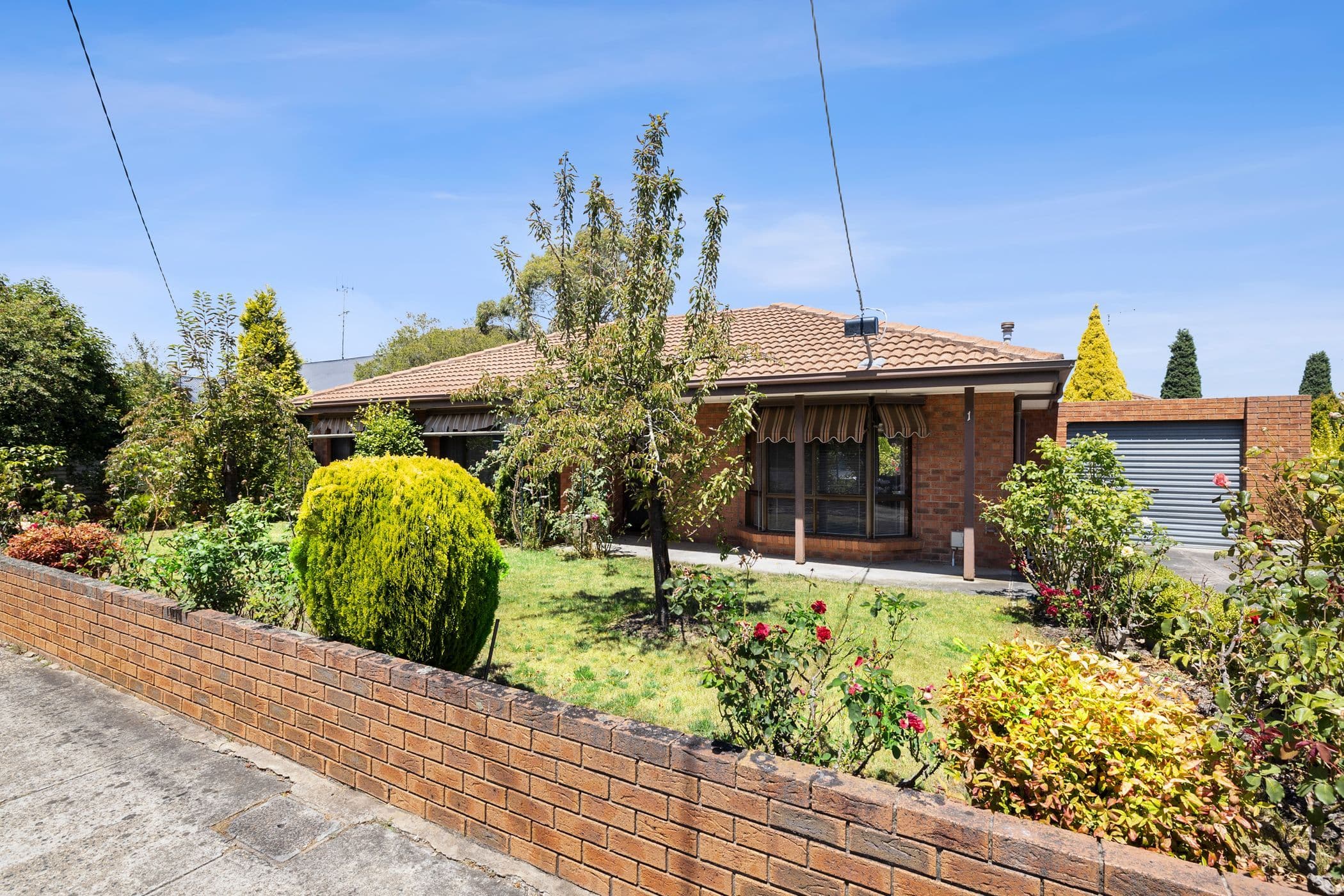 507 Howitt Street, Soldiers Hill VIC 3350, Soldiers Hill - Image 1