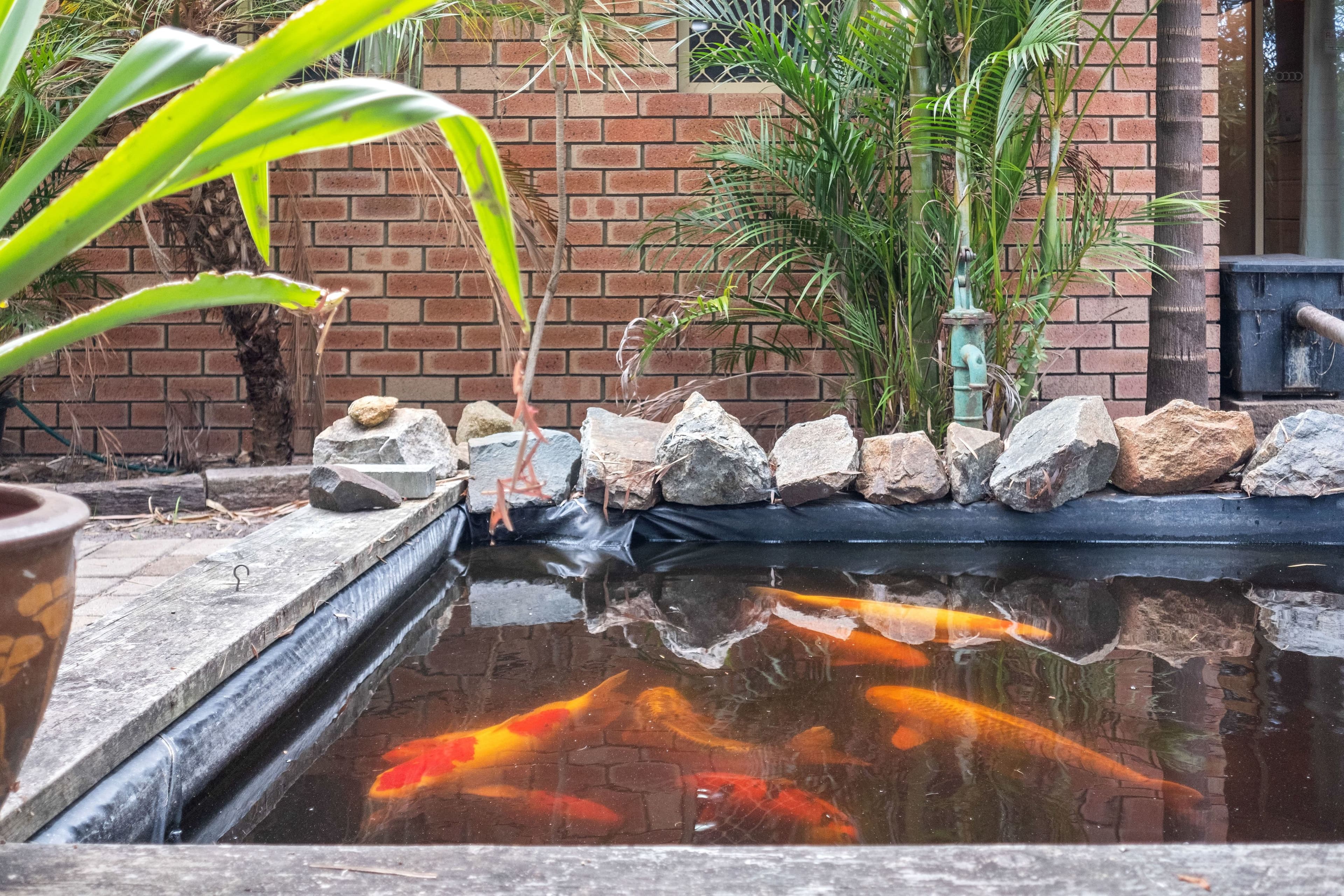 58 Wattle Drive, Beechboro WA 6063, Beechboro - Image 1