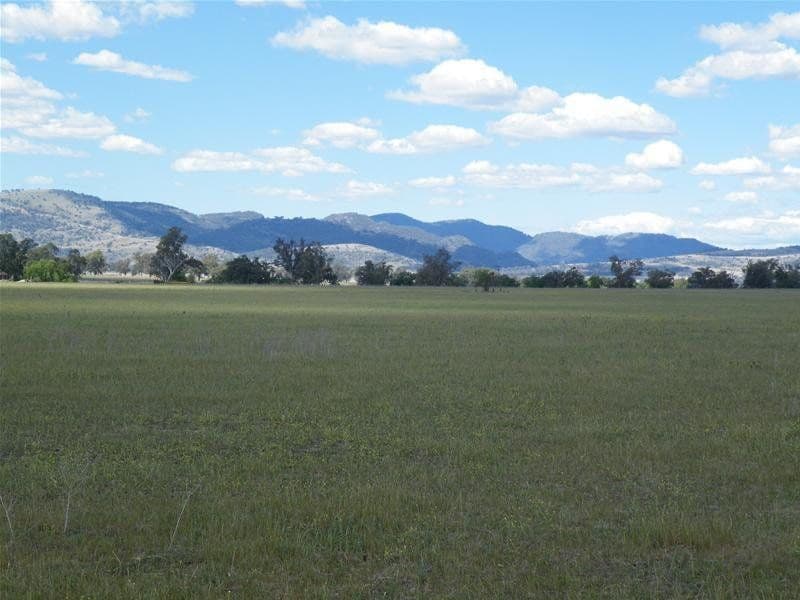 16 East Street, QUIRINDI NSW 2343, Quirindi - Thumbnail 2
