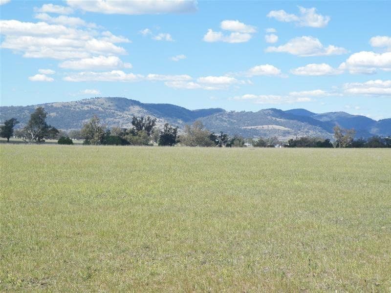 16 East Street, QUIRINDI NSW 2343, Quirindi - Thumbnail 4