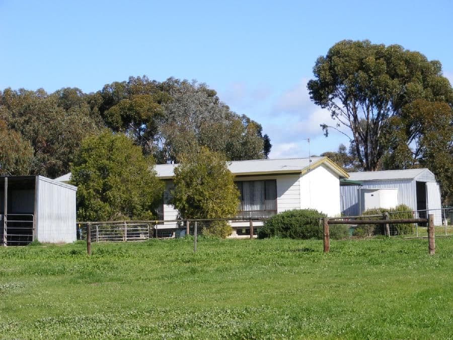46 Punjum Road, MUNDULLA SA 5270, Mundulla - Image 1