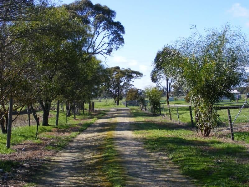 46 Punjum Road, MUNDULLA SA 5270, Mundulla - Thumbnail 6