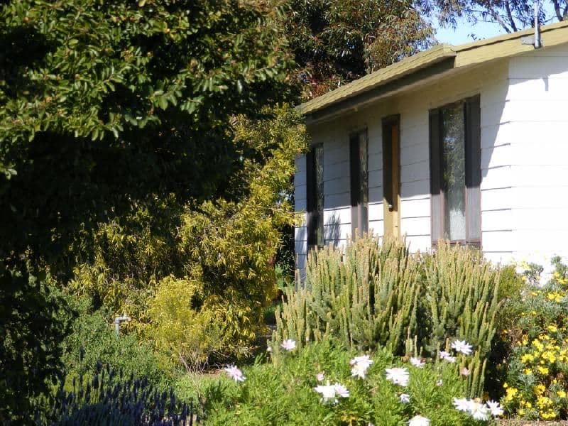 46 Punjum Road, MUNDULLA SA 5270, Mundulla - Thumbnail 7