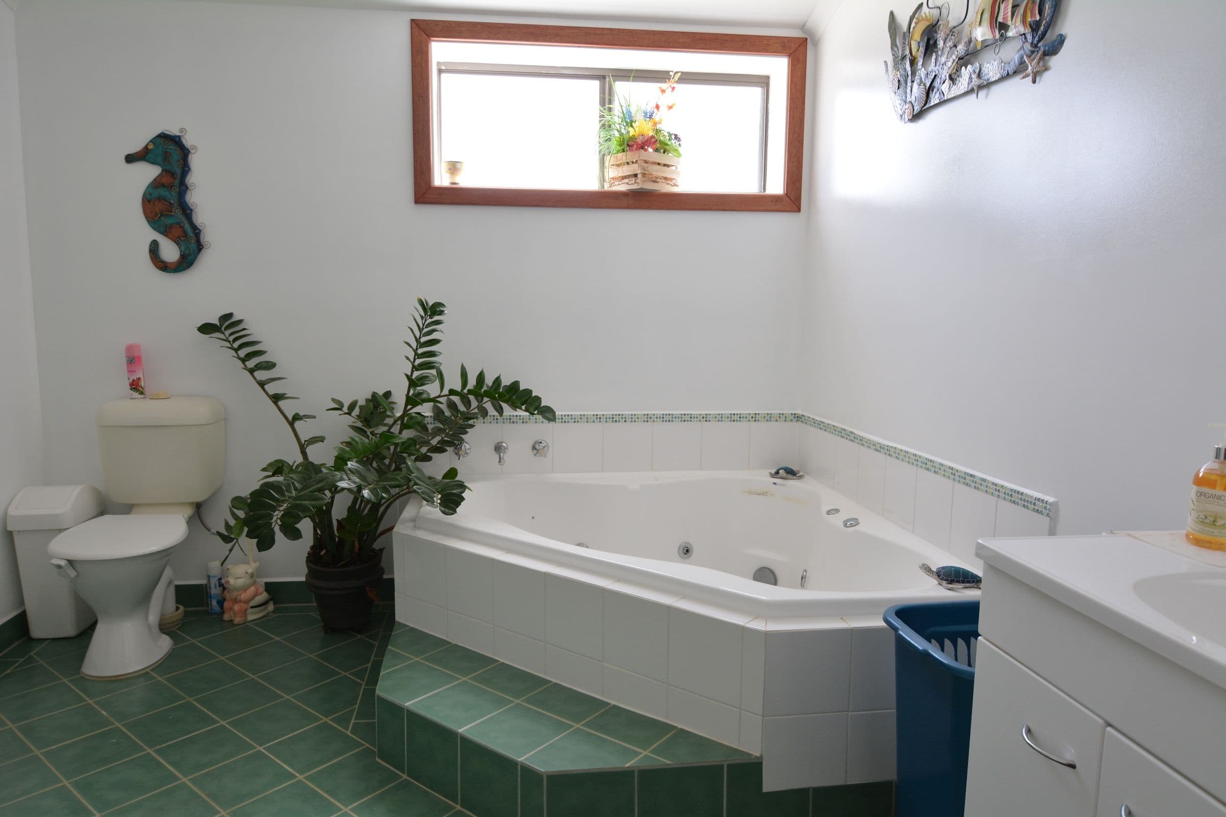 1002 North West Coastal Highway, Carnarvon WA 6701, Carnarvon - Thumbnail 6
