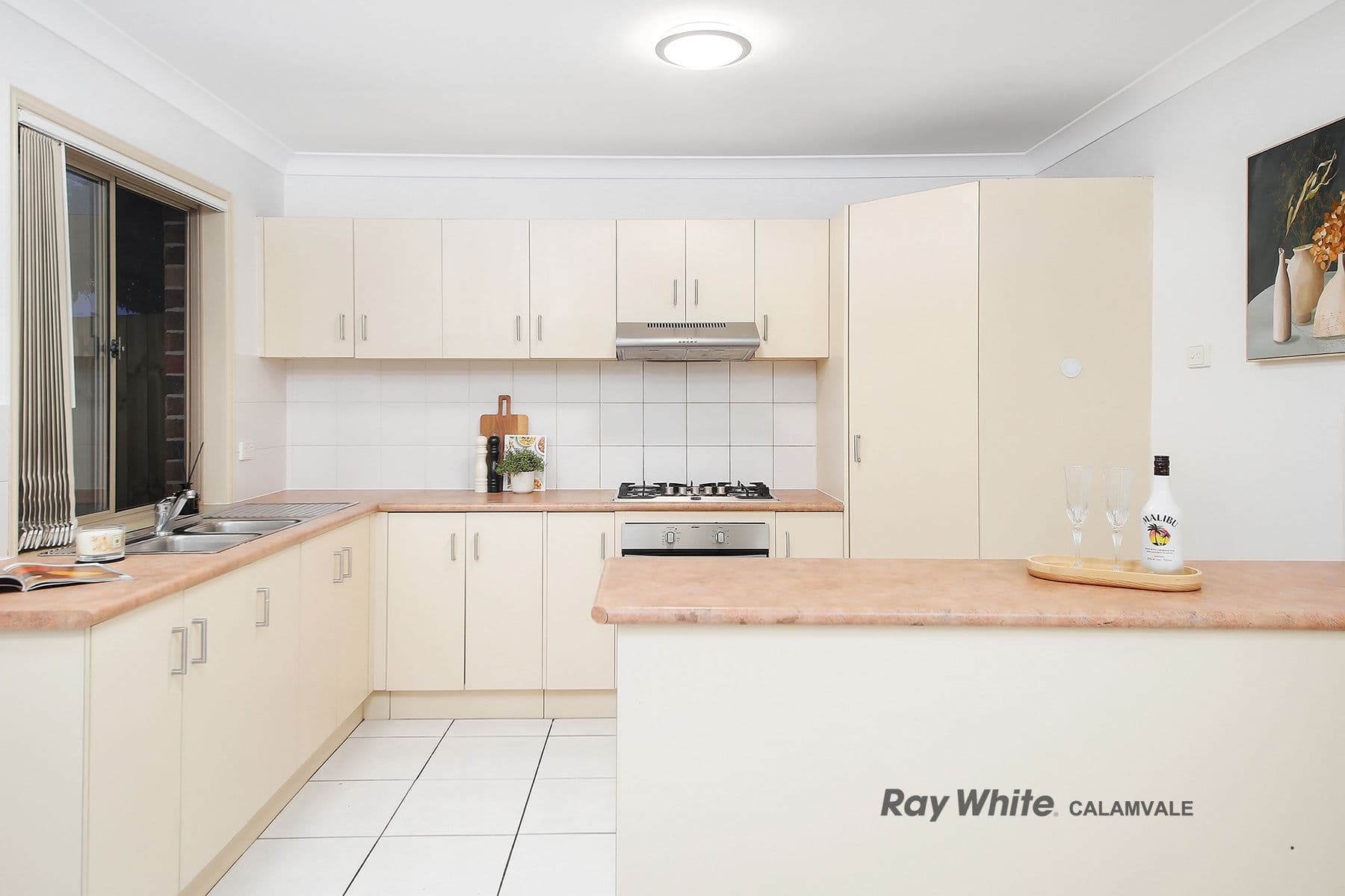 11 Tims Close, Sunnybank Hills QLD 4109, Sunnybank Hills - Thumbnail 8