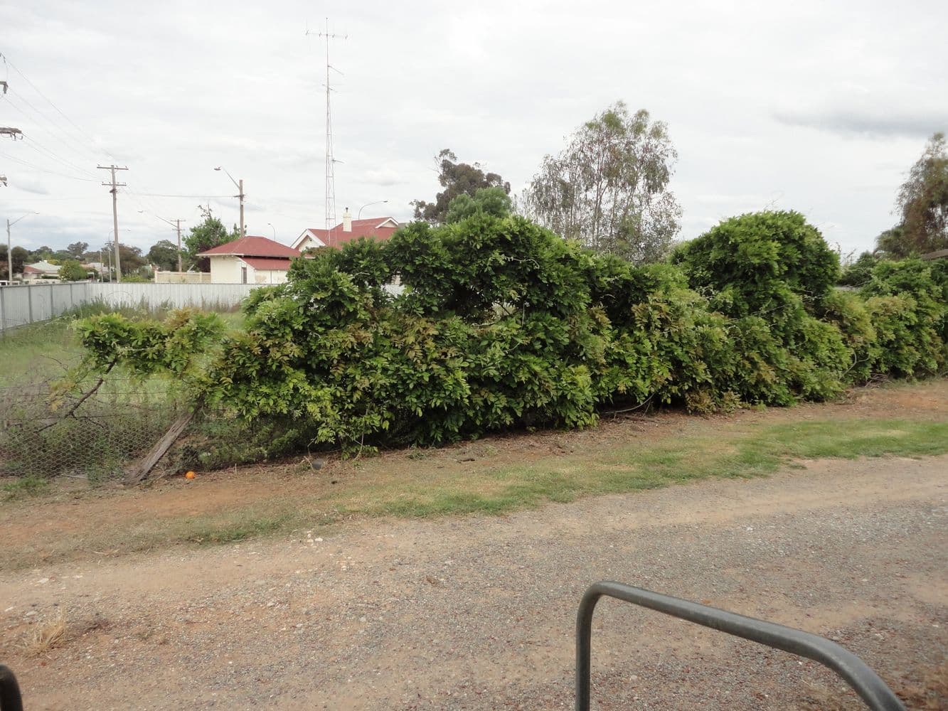 94 Kitchener Road, TEMORA NSW 2666, Temora - Thumbnail 2