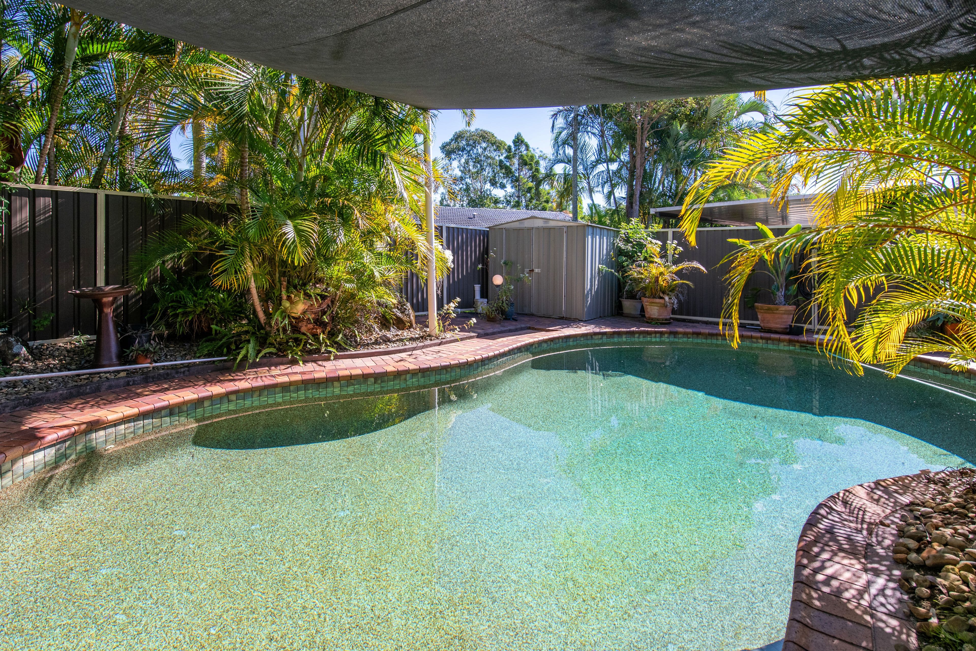 7 Whipbird Court, Burleigh Waters QLD 4220, Burleigh Waters - Thumbnail 8