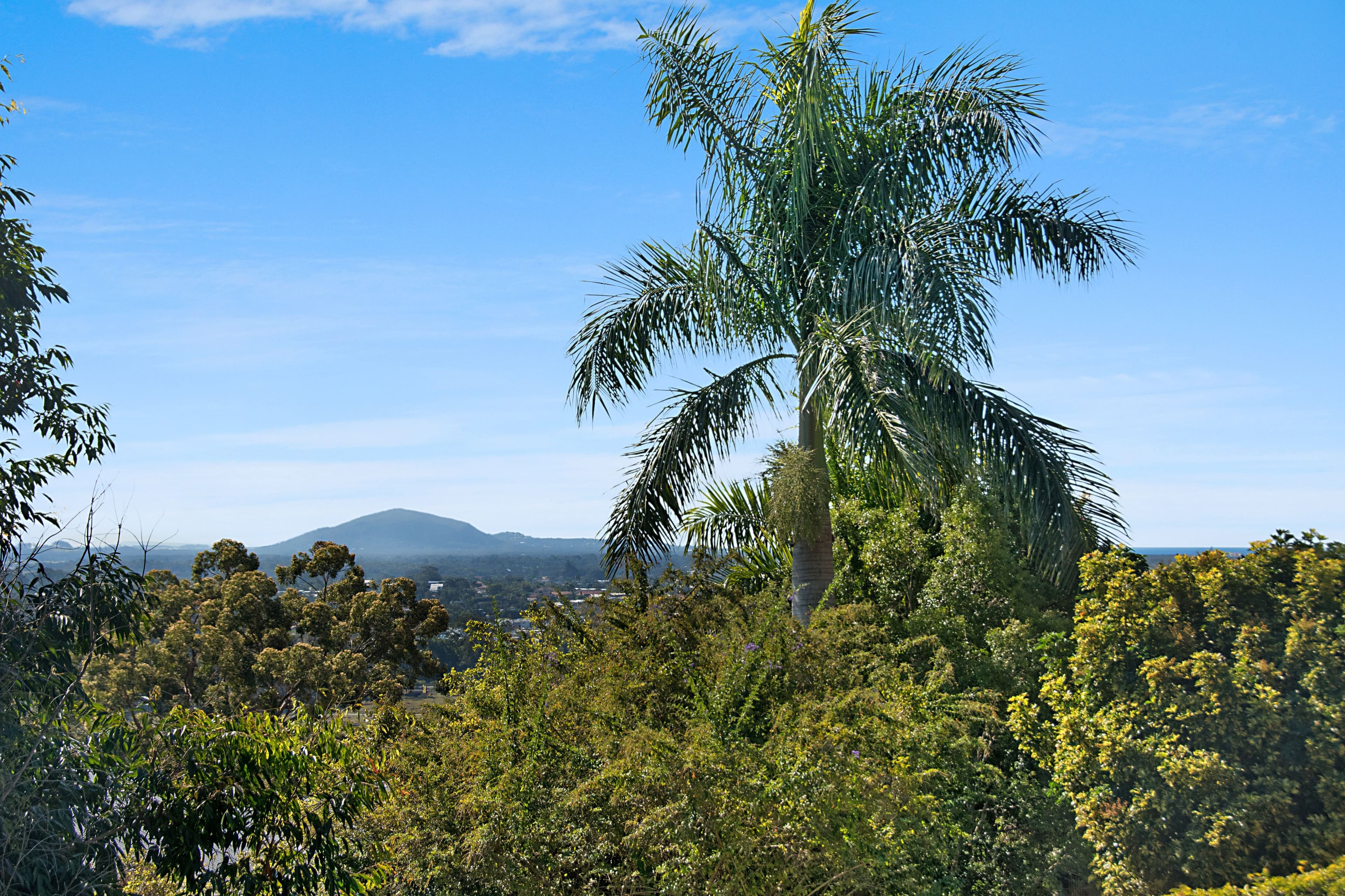 27 Grant Street, Buderim QLD 4556, Buderim - Thumbnail 4
