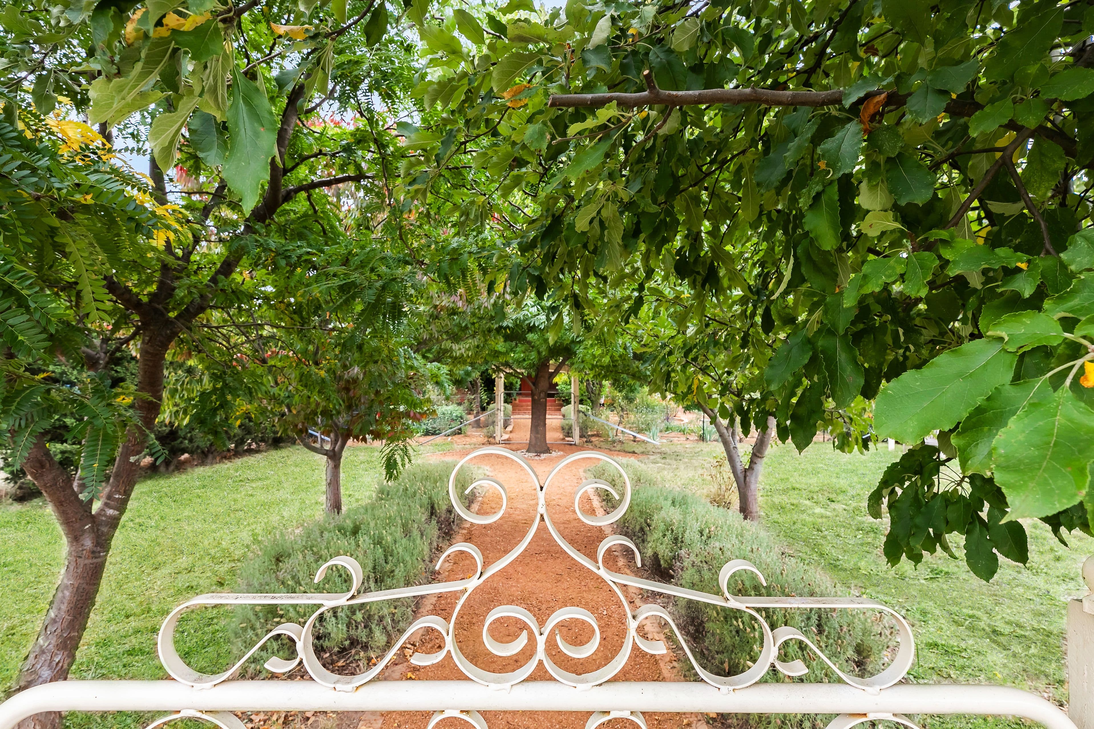 12 Lind Street, Gundaroo NSW 2620, Gundaroo - Thumbnail 2