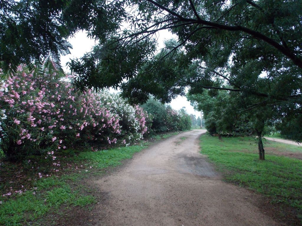 "Wind Rush" 92-96 Peak Hill Road, PARKES NSW 2870, Parkes - Thumbnail 2