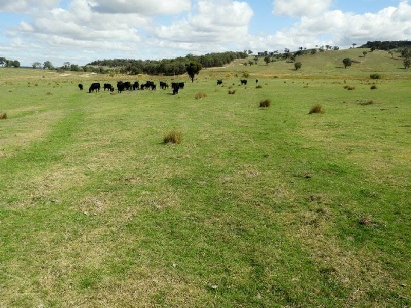 105 Cuddyong Road, Binda, Binda - Image 1