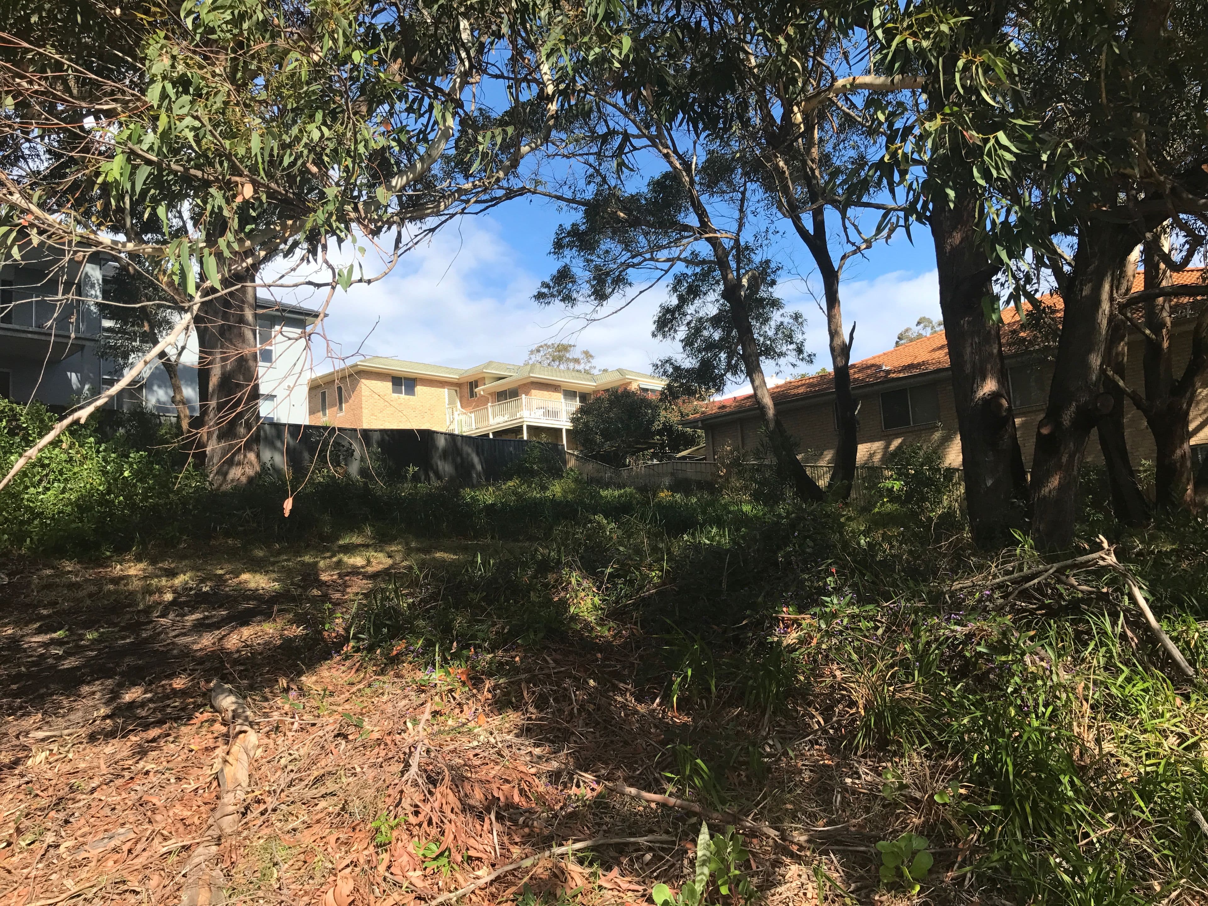 72 Blanch Street, Boat Harbour NSW 2316, Boat Harbour - Thumbnail 4