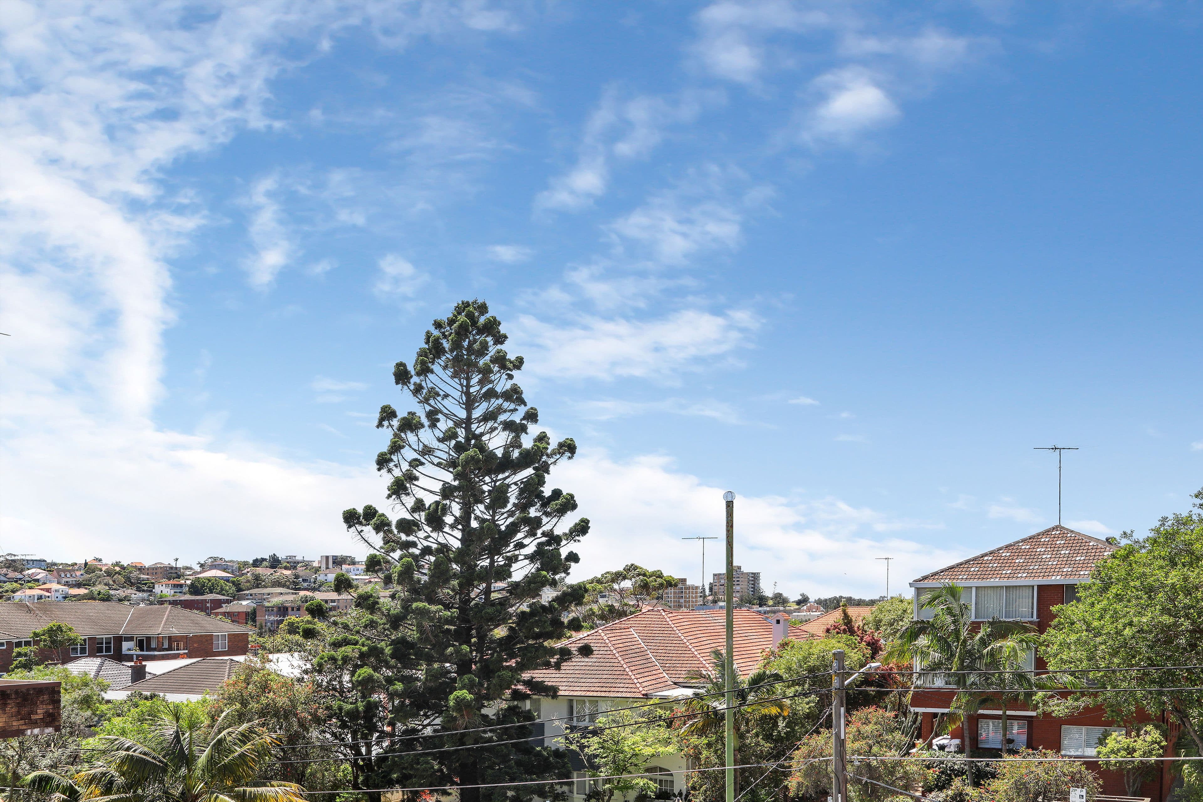 86a Mount Street, Coogee NSW 2034, Coogee - Thumbnail 2