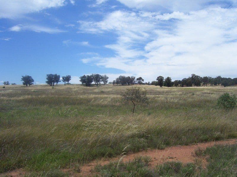 Lot 6 Gold Rush Road, PARKES NSW 2870, Parkes - Image 1
