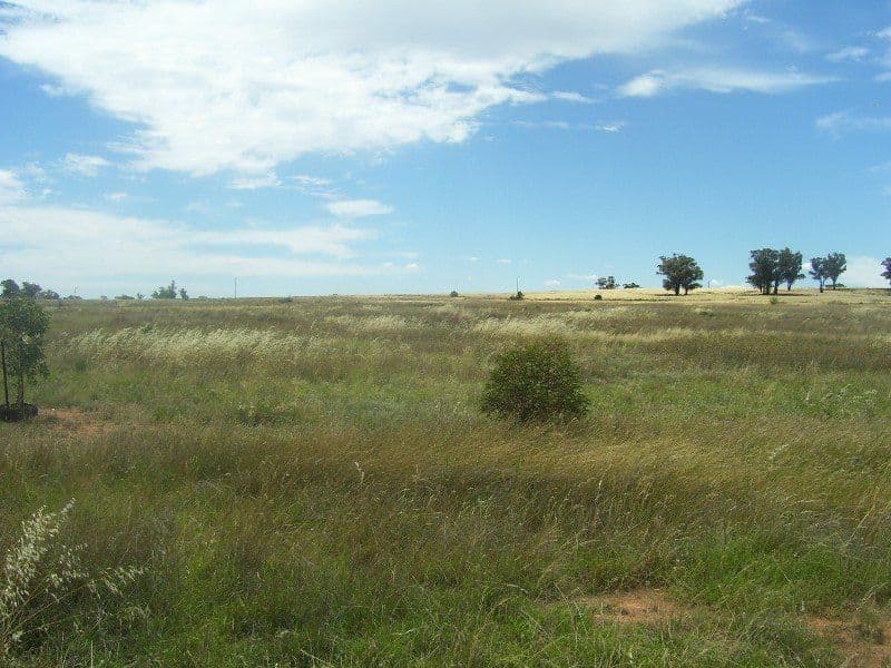 Lot 6 Gold Rush Road, PARKES NSW 2870, Parkes - Thumbnail 2