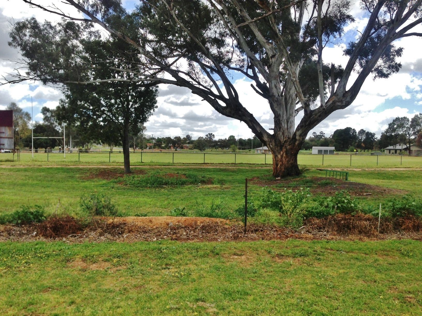 12 Stan McCabe Drive, Grenfell NSW 2810, Grenfell - Thumbnail 6