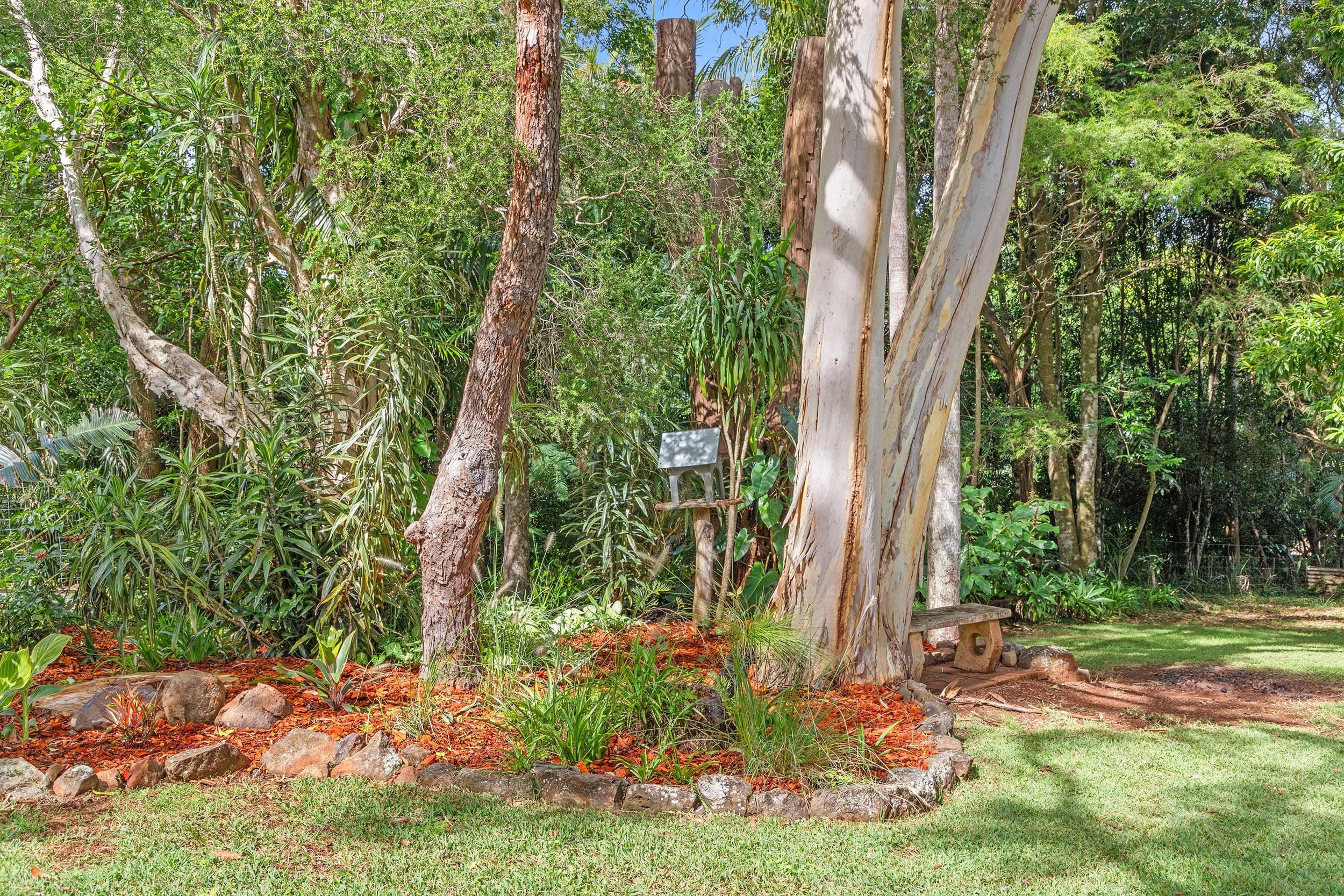 13-15 Winema Drive, Tamborine Mountain QLD 4272, Tamborine Mountain - Thumbnail 4