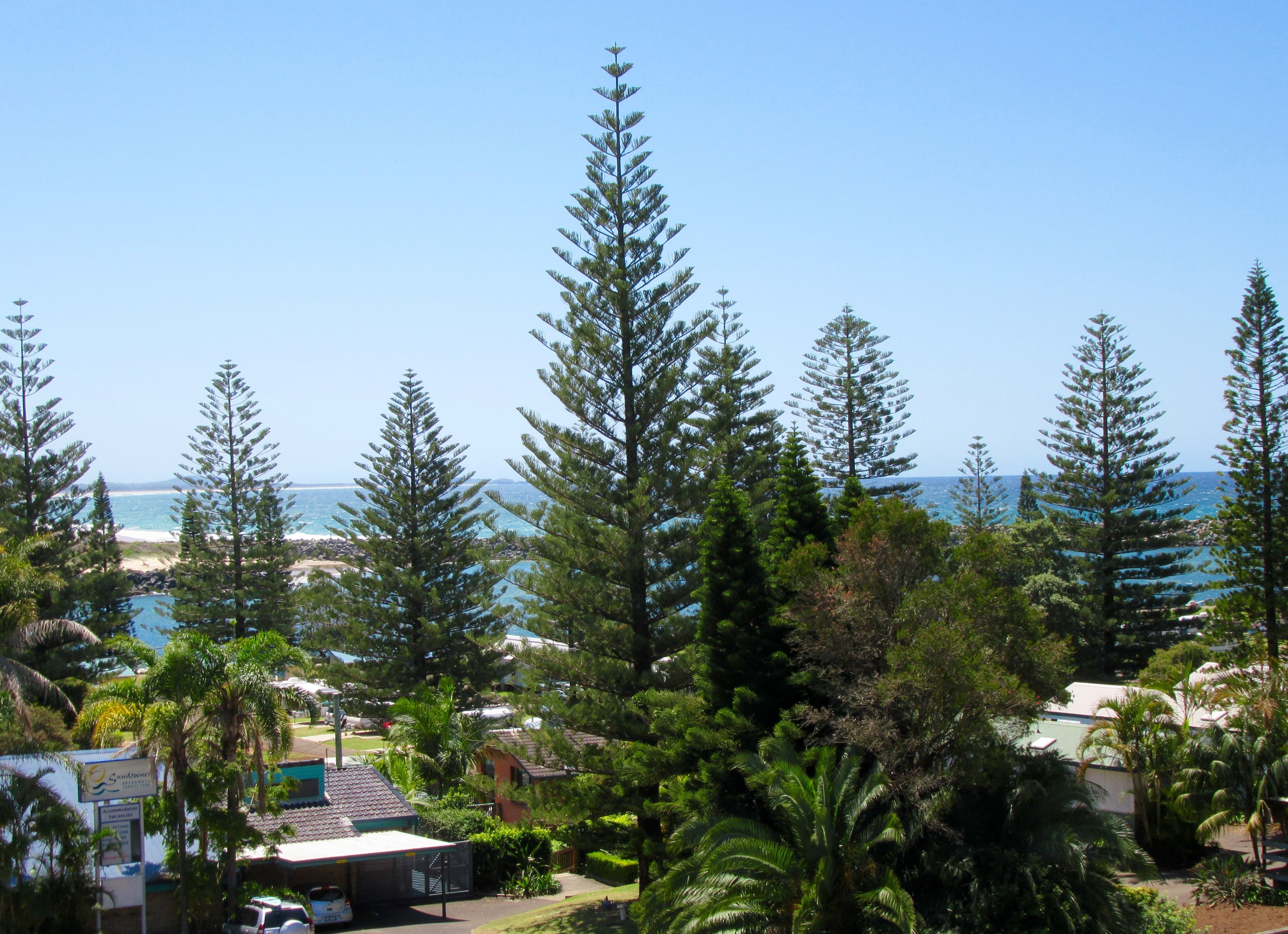 11 Clarence Street, Port Macquarie NSW 2444, Port Macquarie - Image 1