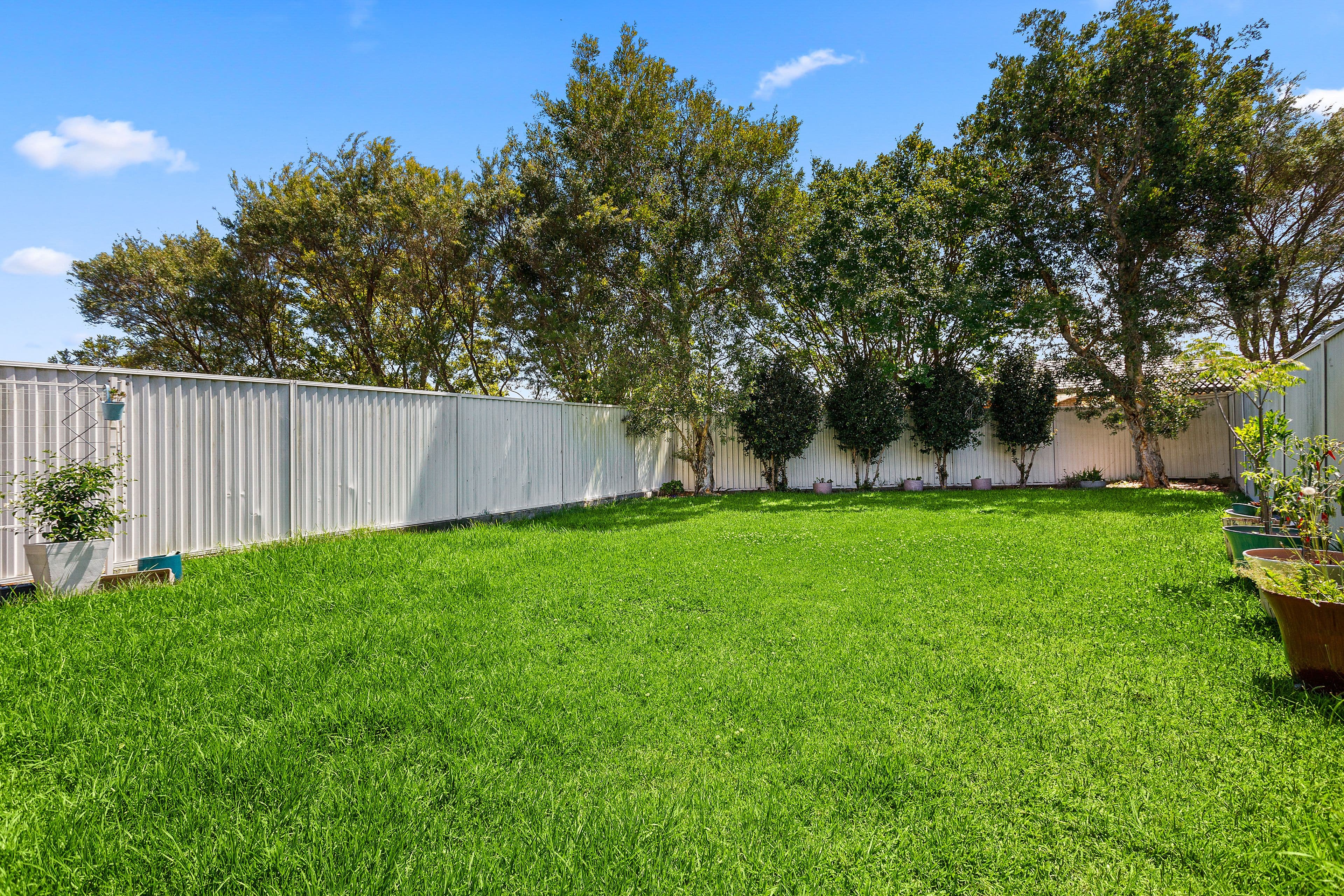 49-51 Avondale Road, Dapto, Dapto - Thumbnail 2