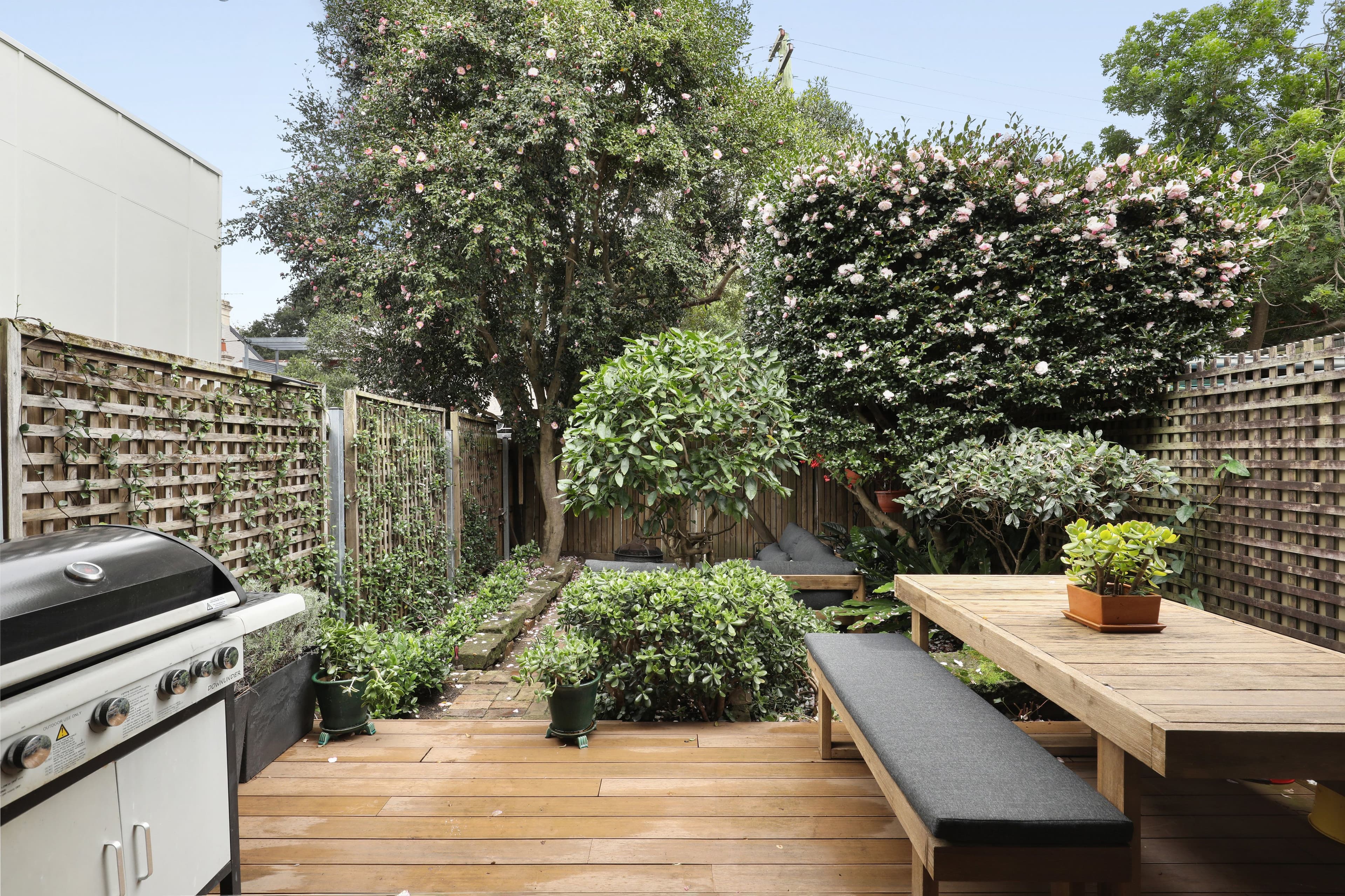 31 Charles Street, Erskineville NSW 2043, Erskineville - Thumbnail 3