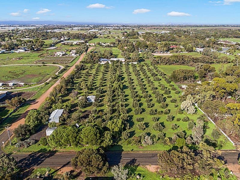 12 Mccord Road, Two Wells SA 5501, Two Wells - Thumbnail 3