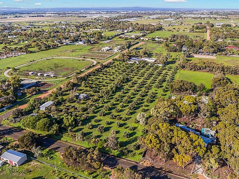 12 Mccord Road, Two Wells SA 5501, Two Wells - Thumbnail 4