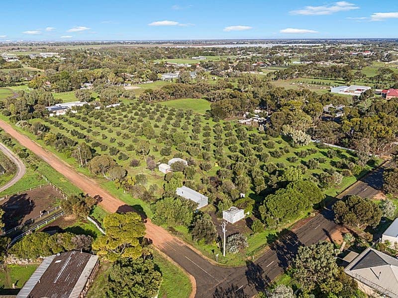 12 Mccord Road, Two Wells SA 5501, Two Wells - Thumbnail 5