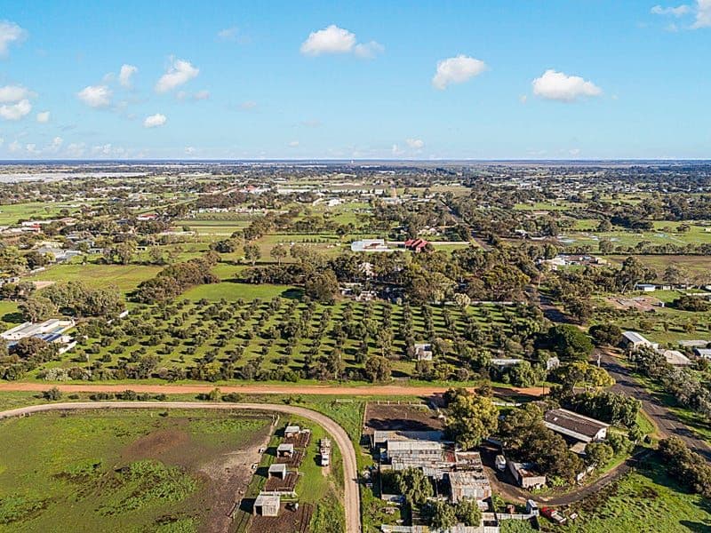 12 Mccord Road, Two Wells SA 5501, Two Wells - Thumbnail 6