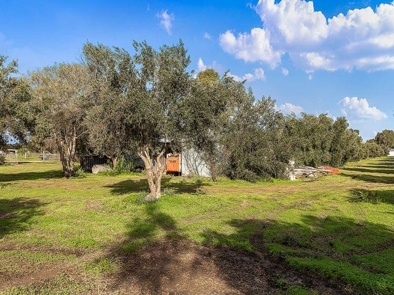 12 Mccord Road, Two Wells SA 5501, Two Wells - Thumbnail 8