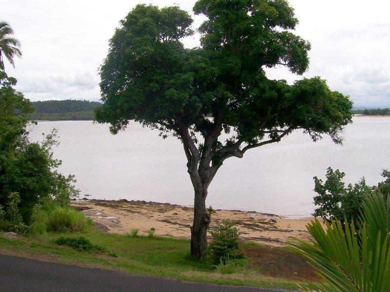 1 Maria Street, FLYING FISH POINT QLD 4860, Flying Fish Point - Thumbnail 5