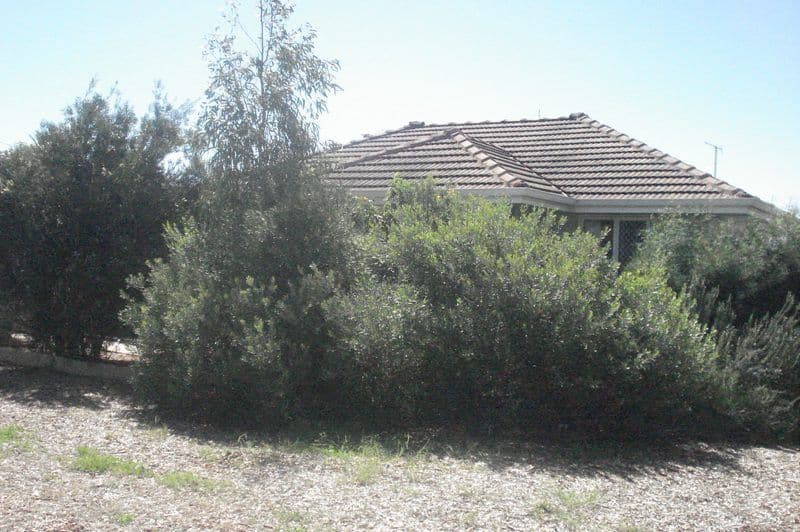53 Abelia Street, RANGEWAY WA 6530, Rangeway - Thumbnail 6