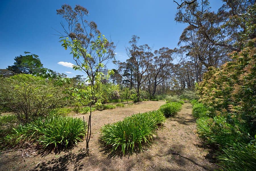14 Richmond Avenue, MEDLOW BATH NSW 2780, Medlow Bath - Thumbnail 7