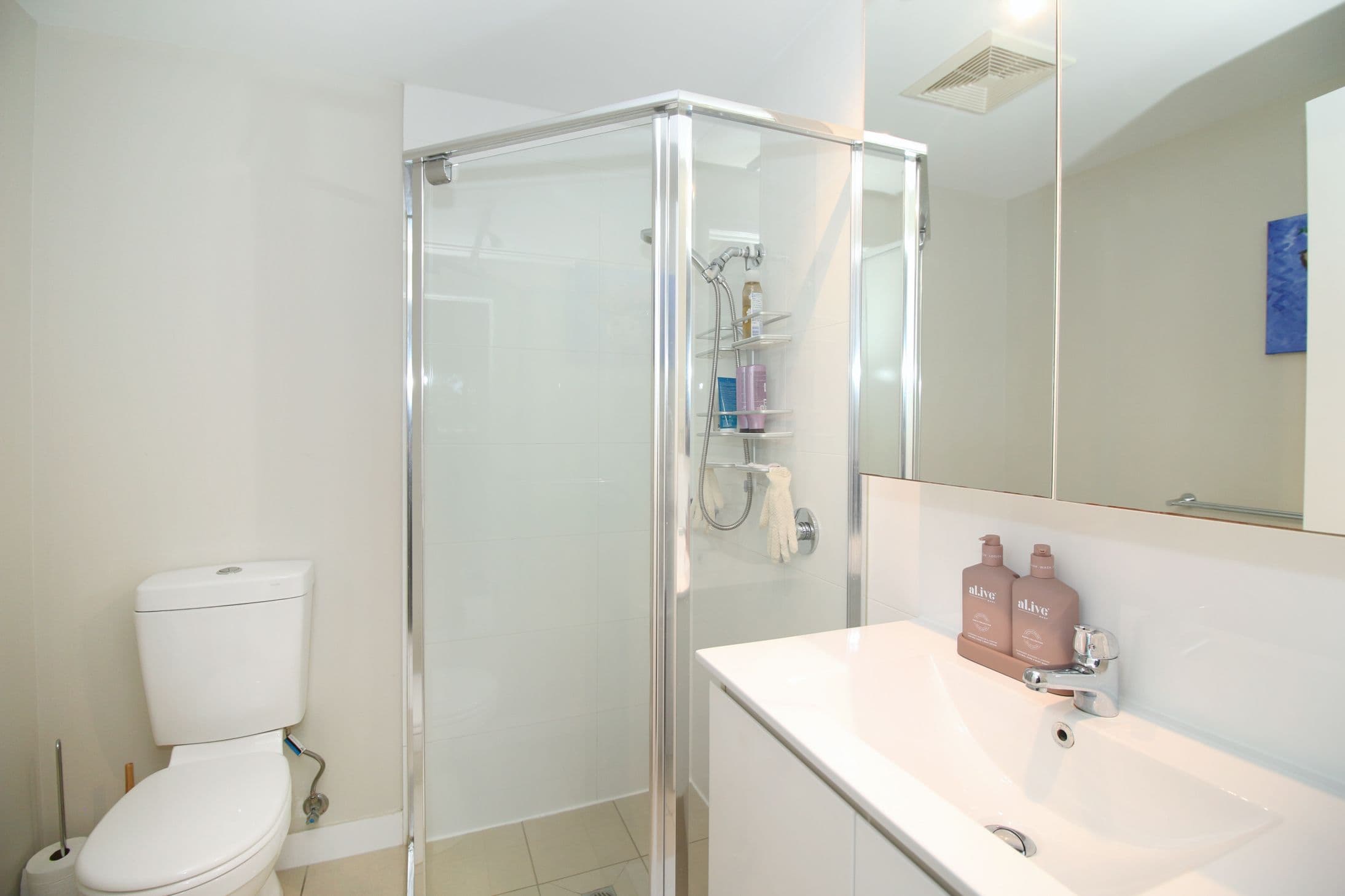 10 Kokoda Street, Idalia QLD 4811, Idalia - Thumbnail 7