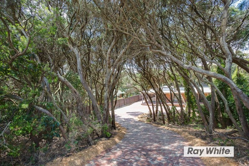 25 Evans Street, Rye VIC 3941, Rye - Thumbnail 8