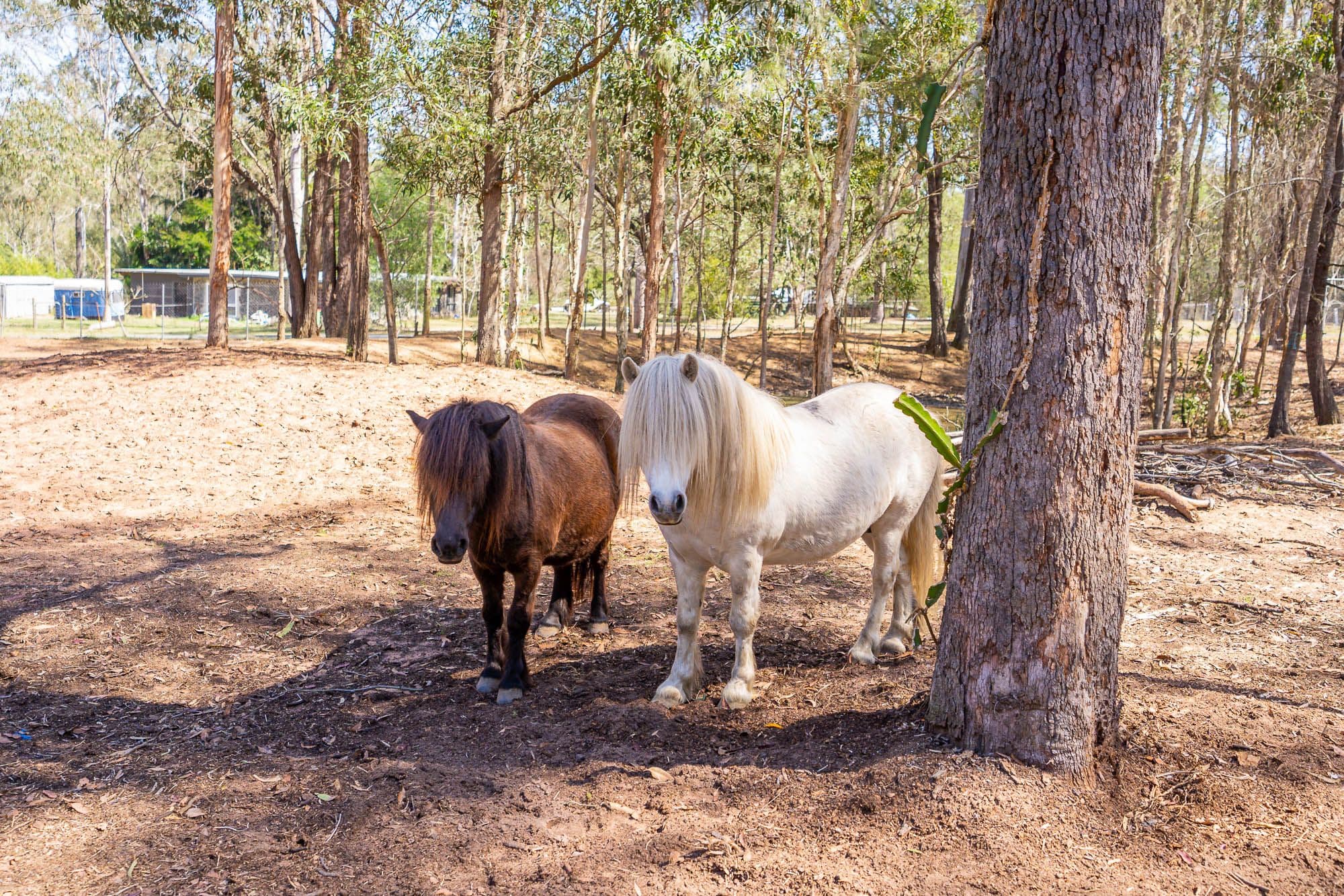 69-75 Braemar Road, North Maclean QLD 4280, North Maclean - Image 1