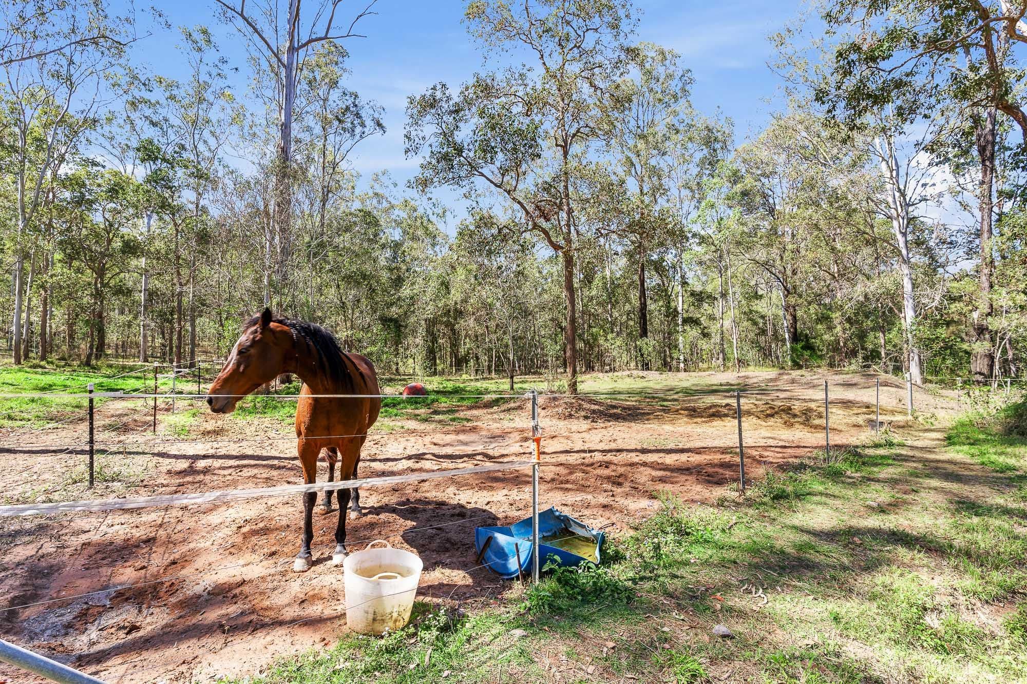 69-75 Braemar Road, North Maclean QLD 4280, North Maclean - Thumbnail 8